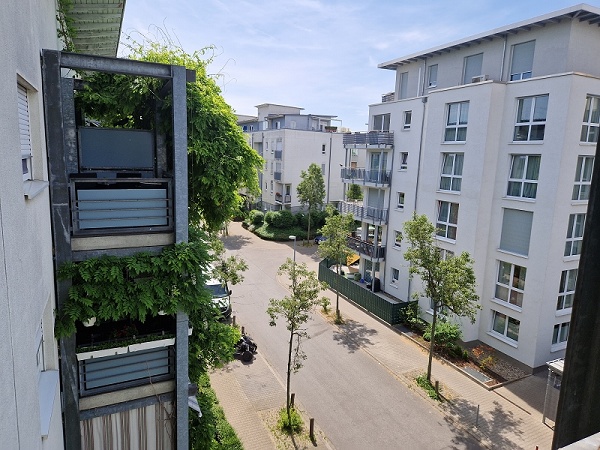 Ausblick