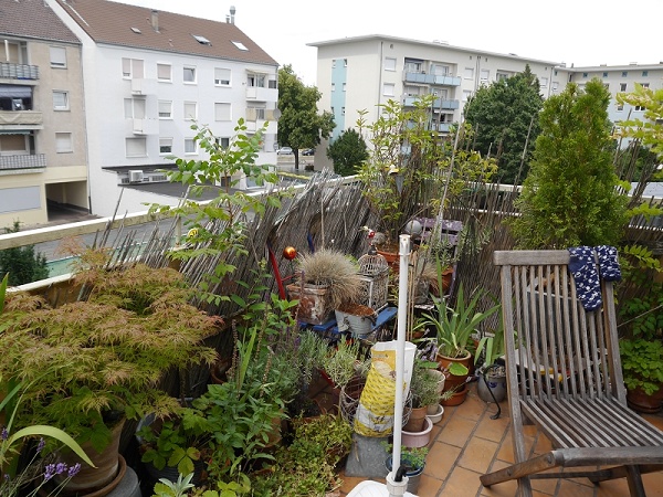 Ausblick