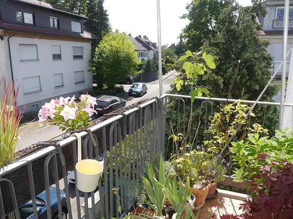 Aussicht vom Balkon